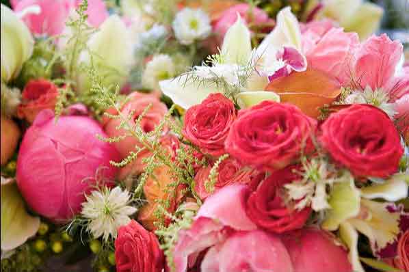 Alda's Summer cascading Bridal bouquet contained moth and coral orchids